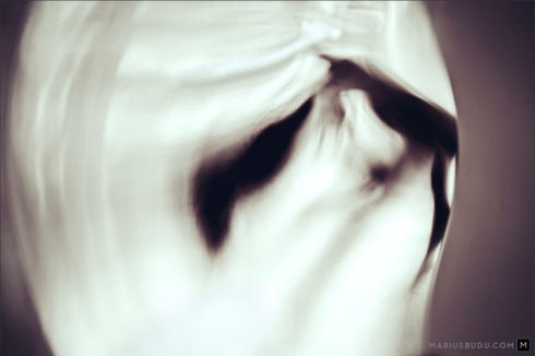 Commission art abstract nude Marius Budu